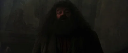 harry_potter_and_the_sorcerer's_stone_frame_1738718639.713669.webp