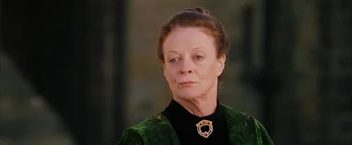 harry_potter_and_the_sorcerer's_stone_frame_1738718651.3323367.webp