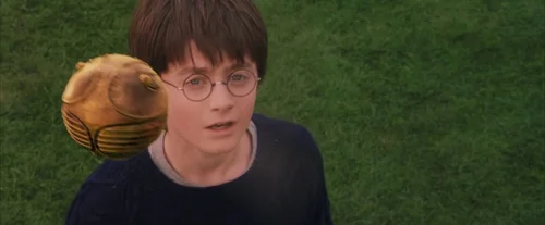 harry_potter_and_the_sorcerer's_stone_frame_1738718653.6668868.webp