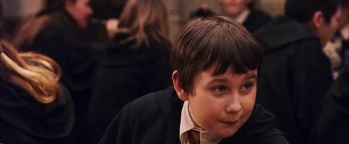 harry_potter_and_the_sorcerer's_stone_frame_1738718654.3889825.webp