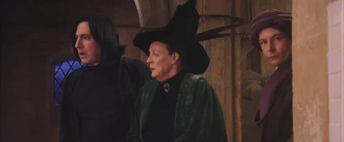 harry_potter_and_the_sorcerer's_stone_frame_1738718656.0678594.webp