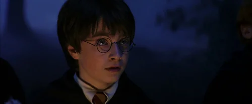 harry_potter_and_the_sorcerer's_stone_frame_1738718665.1568115.webp