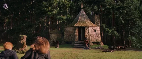 harry_potter_and_the_sorcerer's_stone_frame_1738718666.9499726.webp