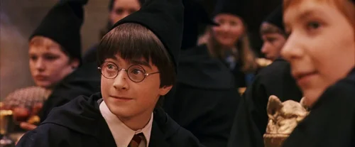 harry_potter_and_the_sorcerer's_stone_frame_1738718675.483187.webp