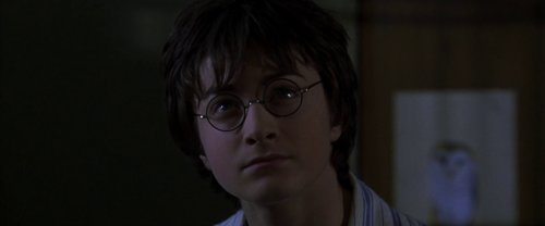 harry_potter_and_the_chamber_of_secrets_frame_1738974183.9503634.jpg