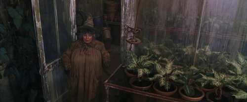 harry_potter_and_the_chamber_of_secrets_frame_1738974188.588531.jpg