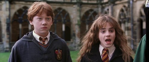harry_potter_and_the_chamber_of_secrets_frame_1738974190.0537739.jpg