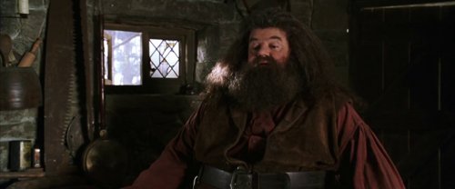 harry_potter_and_the_chamber_of_secrets_frame_1738974190.2496688.jpg