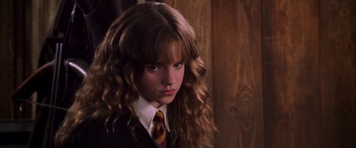 harry_potter_and_the_chamber_of_secrets_frame_1738974190.4708993.jpg