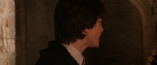 harry_potter_and_the_chamber_of_secrets_frame_1738974190.9056673.jpg