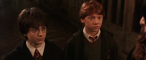 harry_potter_and_the_chamber_of_secrets_frame_1738974191.6080205.jpg