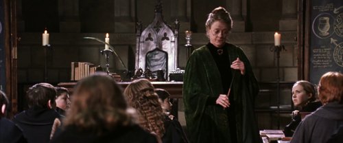 harry_potter_and_the_chamber_of_secrets_frame_1738974192.4668982.jpg