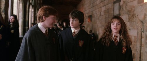 harry_potter_and_the_chamber_of_secrets_frame_1738974192.9385803.jpg
