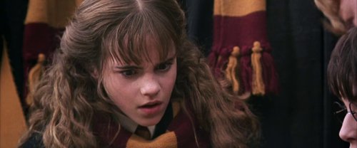 harry_potter_and_the_chamber_of_secrets_frame_1738974194.4072666.jpg