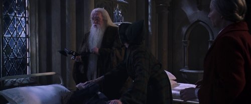 harry_potter_and_the_chamber_of_secrets_frame_1738974195.4225707.jpg