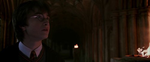 harry_potter_and_the_chamber_of_secrets_frame_1738974197.3362937.jpg