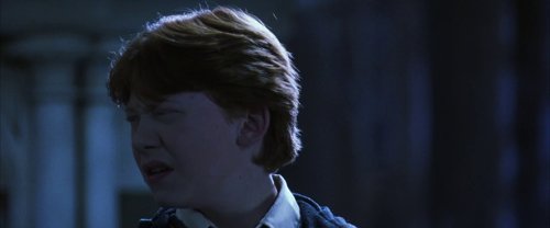 harry_potter_and_the_chamber_of_secrets_frame_1738974200.9464962.jpg