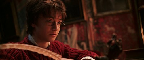 harry_potter_and_the_chamber_of_secrets_frame_1738974201.486089.jpg