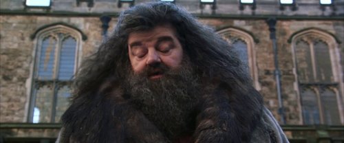 harry_potter_and_the_chamber_of_secrets_frame_1738974202.7126517.jpg