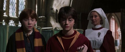 harry_potter_and_the_chamber_of_secrets_frame_1738974203.1435382.jpg