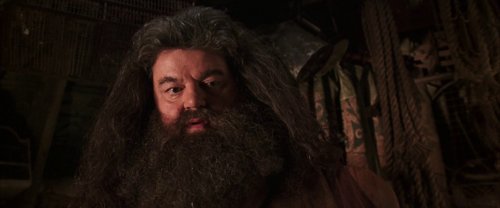 harry_potter_and_the_chamber_of_secrets_frame_1738974203.573486.jpg