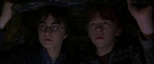 harry_potter_and_the_chamber_of_secrets_frame_1738974203.7785265.jpg