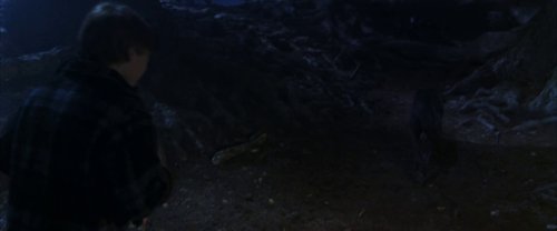 harry_potter_and_the_chamber_of_secrets_frame_1738974204.7791932.jpg