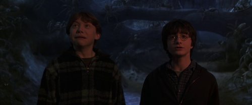 harry_potter_and_the_chamber_of_secrets_frame_1738974205.5141323.jpg