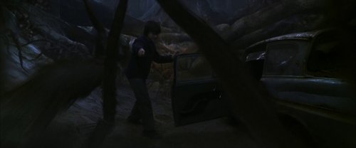 harry_potter_and_the_chamber_of_secrets_frame_1738974205.736976.jpg