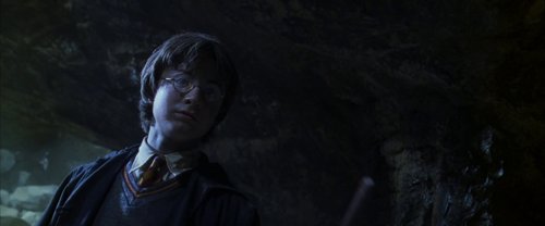 harry_potter_and_the_chamber_of_secrets_frame_1738974209.3452313.jpg