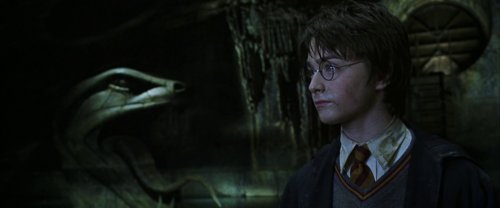 harry_potter_and_the_chamber_of_secrets_frame_1738974209.5784855.jpg