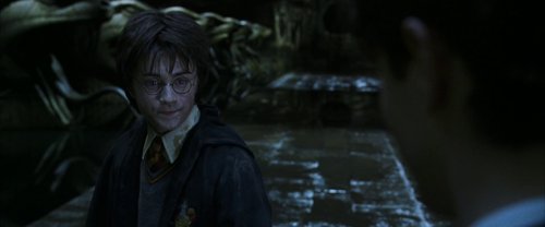 harry_potter_and_the_chamber_of_secrets_frame_1738974209.8328.jpg