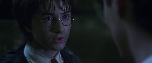 harry_potter_and_the_chamber_of_secrets_frame_1738974210.046237.jpg