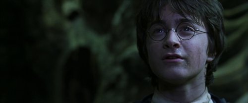 harry_potter_and_the_chamber_of_secrets_frame_1738974210.4703226.jpg