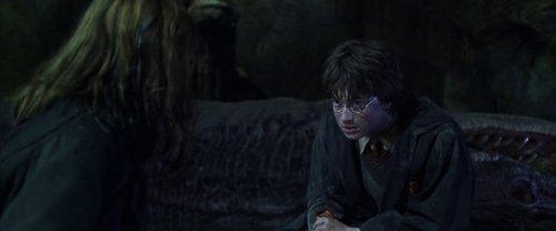 harry_potter_and_the_chamber_of_secrets_frame_1738974213.5612106.jpg
