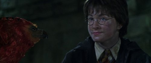 harry_potter_and_the_chamber_of_secrets_frame_1738974213.775176.jpg