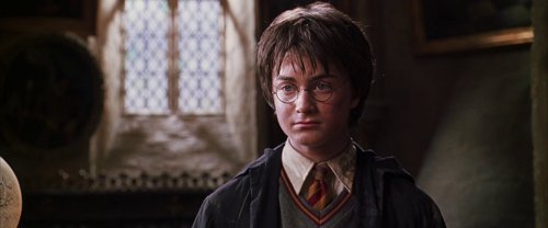 harry_potter_and_the_chamber_of_secrets_frame_1738974214.57475.jpg