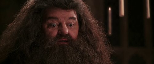 harry_potter_and_the_chamber_of_secrets_frame_1738974216.5414226.jpg