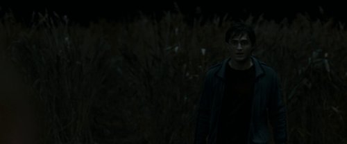 harry_potter_and_the_deathly_hallows:_part_1_frame_1739128002.0516975.jpg