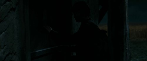 harry_potter_and_the_deathly_hallows:_part_1_frame_1739128003.032639.jpg