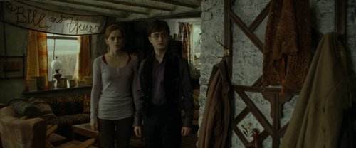 harry_potter_and_the_deathly_hallows:_part_1_frame_1739128004.0411675.jpg