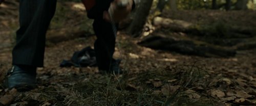 harry_potter_and_the_deathly_hallows:_part_1_frame_1739128012.6124418.jpg