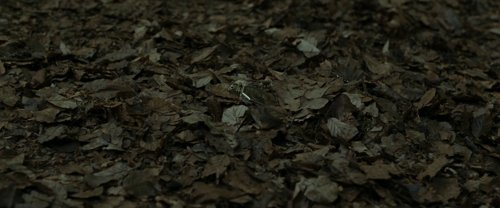 harry_potter_and_the_deathly_hallows:_part_1_frame_1739128013.1445749.jpg