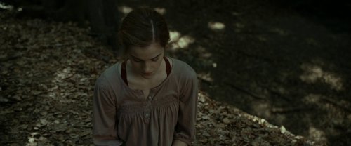 harry_potter_and_the_deathly_hallows:_part_1_frame_1739128013.9604225.jpg