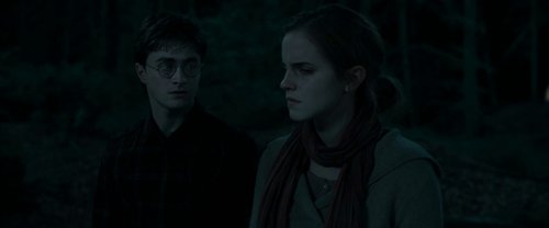 harry_potter_and_the_deathly_hallows:_part_1_frame_1739128014.6264772.jpg