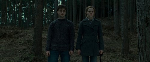 harry_potter_and_the_deathly_hallows:_part_1_frame_1739128016.213127.jpg