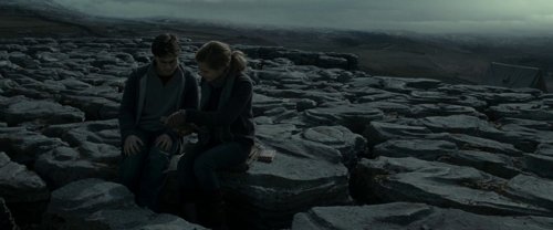 harry_potter_and_the_deathly_hallows:_part_1_frame_1739128017.4055536.jpg