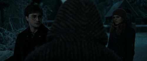 harry_potter_and_the_deathly_hallows:_part_1_frame_1739128018.6582937.jpg