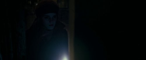 harry_potter_and_the_deathly_hallows:_part_1_frame_1739128019.1294665.jpg