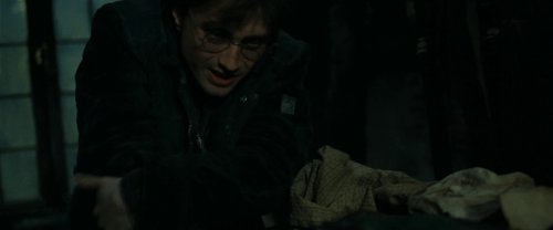 harry_potter_and_the_deathly_hallows:_part_1_frame_1739128019.345594.jpg